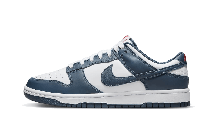 Nike Dunk Low Valerian Blue 4