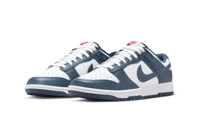Nike Dunk Low Valerian Blue 5