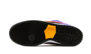 Nike SB Dunk Low ACG Terra