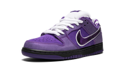 Nike SB Dunk Low Concepts Purple Lobster 5