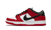 Nike SB Dunk Low Pro Chicago 10