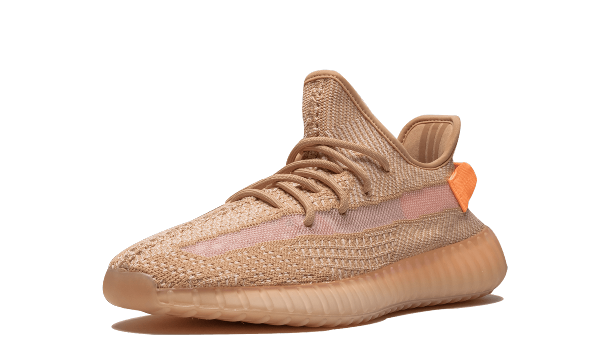 Yeezy Boost 350 V2 Clay 5