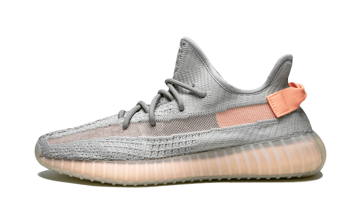 Yeezy Boost 350 V2 True Form 1