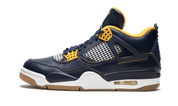 Air Jordan 4 Retro Dunk From Above