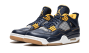 Air Jordan 4 Retro Dunk From Above