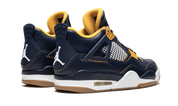 Air Jordan 4 Retro Dunk From Above