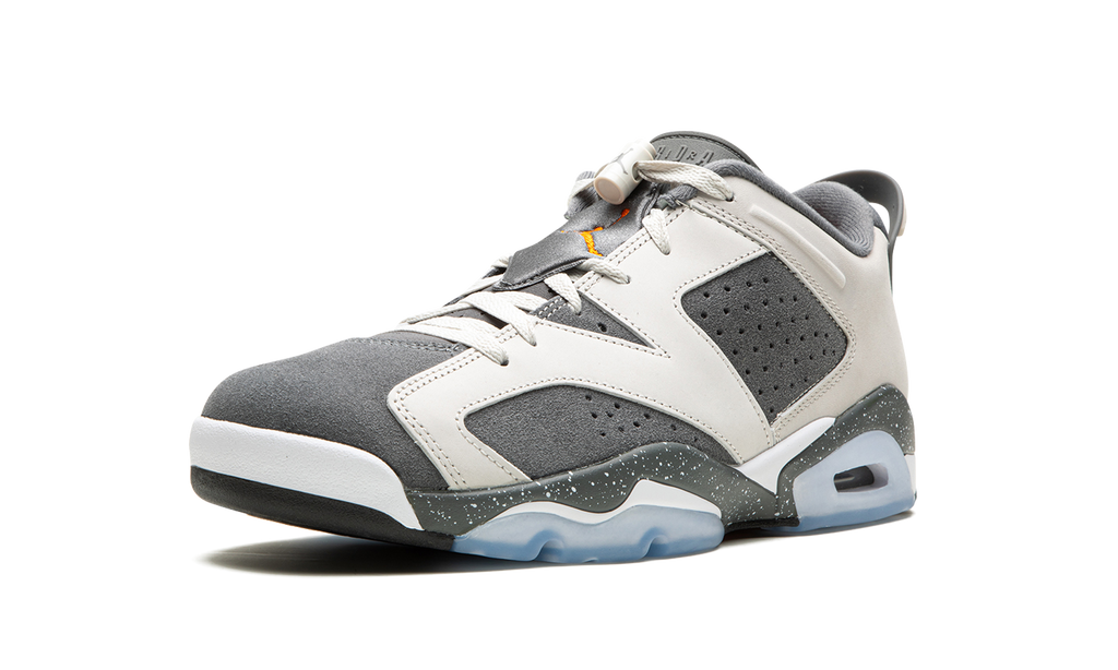 Air Jordan 6 Retro Low x Paris Saint-Germain Iron Grey 5