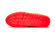 Air Max 90 PRM Platinum Crimson/Bright Purple (W)