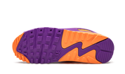 Air Max 90 Viotech OG