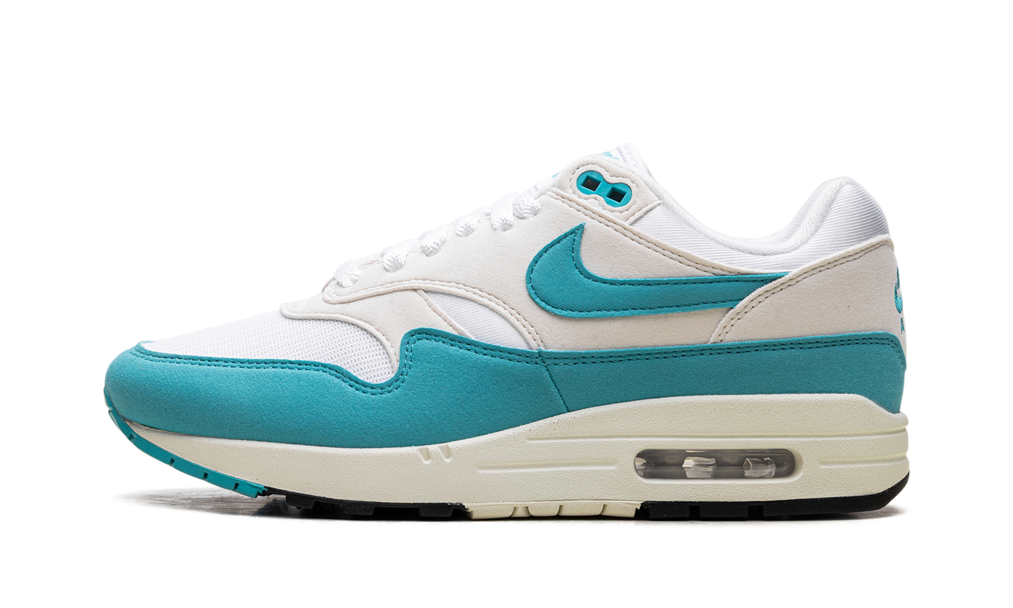Nike Air Max 1 Dusty Cactus (W) 1