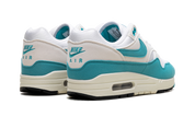 Nike Air Max 1 Dusty Cactus (W) 4