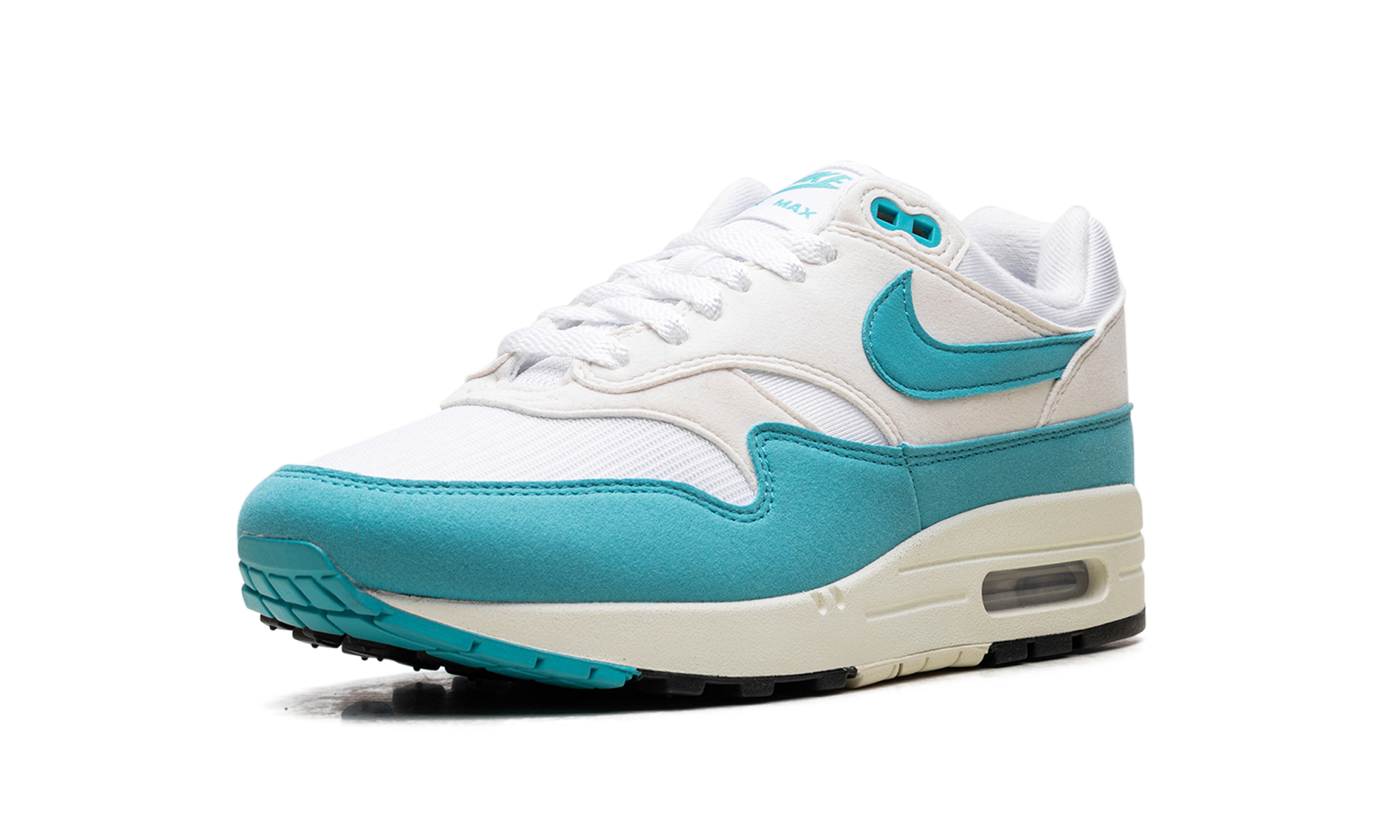 Nike Air Max 1 Dusty Cactus (W) 5