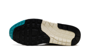 Nike Air Max 1 Dusty Cactus (W) 6