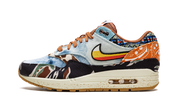 Nike Air Max 1 SP Concepts Heavy 1