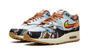 Nike Air Max 1 SP Concepts Heavy 2