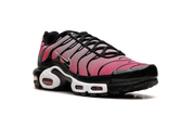 Nike Air Max Plus All Day 2