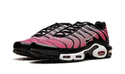Nike Air Max Plus All Day 3