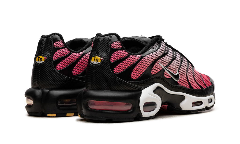 Nike Air Max Plus All Day 4