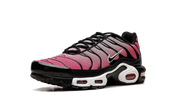 Nike Air Max Plus All Day 5