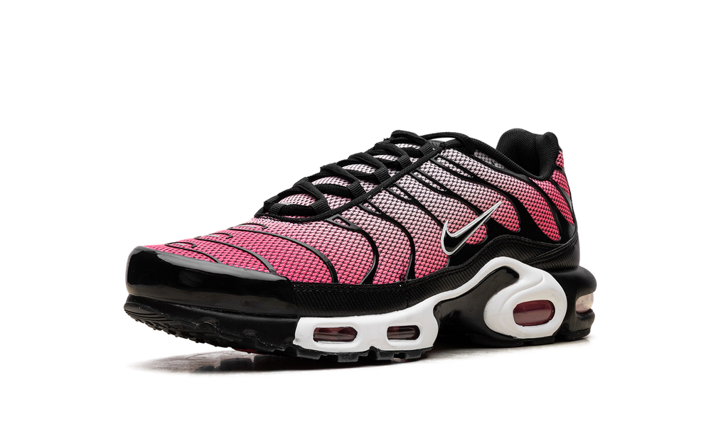 Nike Air Max Plus All Day 5