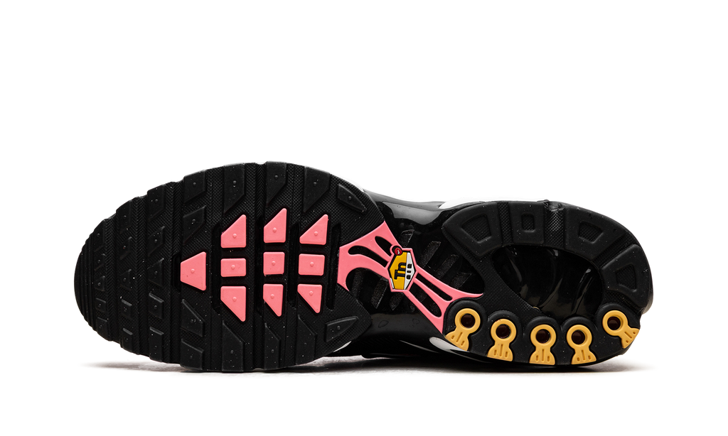 Nike Air Max Plus All Day 6