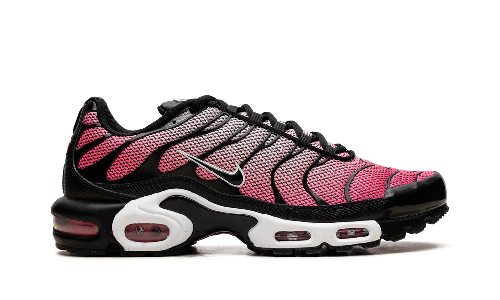 Nike Air Max Plus All Day 7