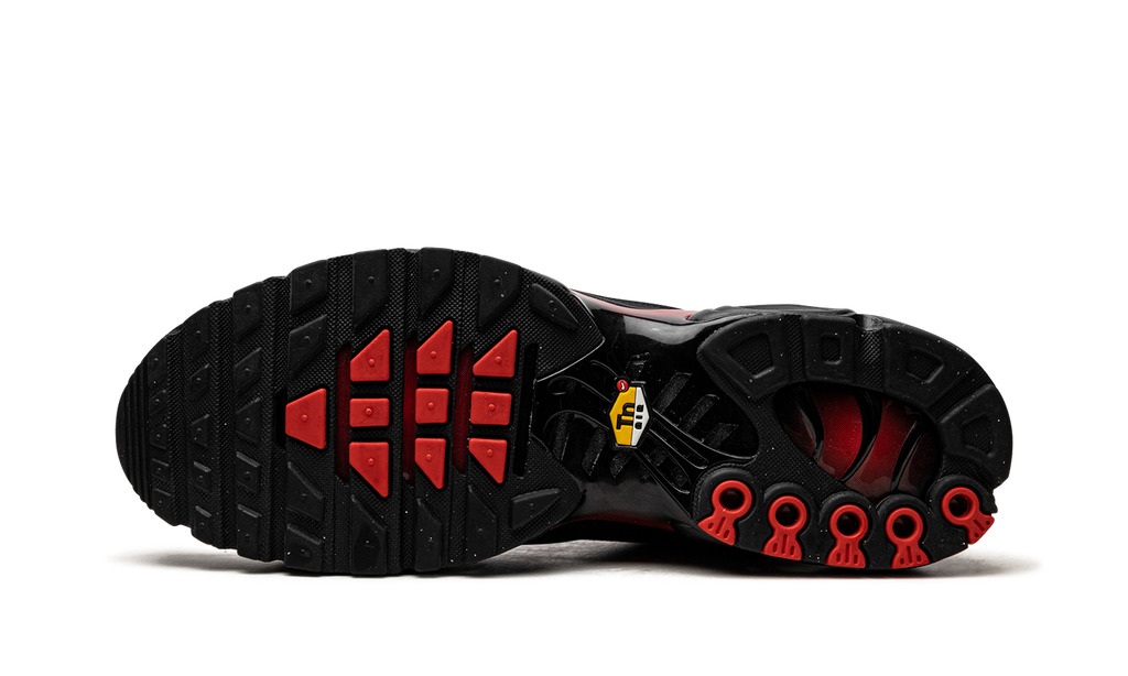 Nike Air Max Plus Bred Reflective 6