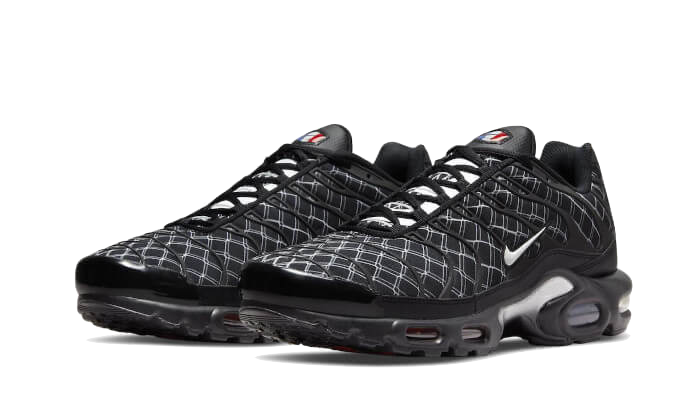 Nike Air Max Plus France 5