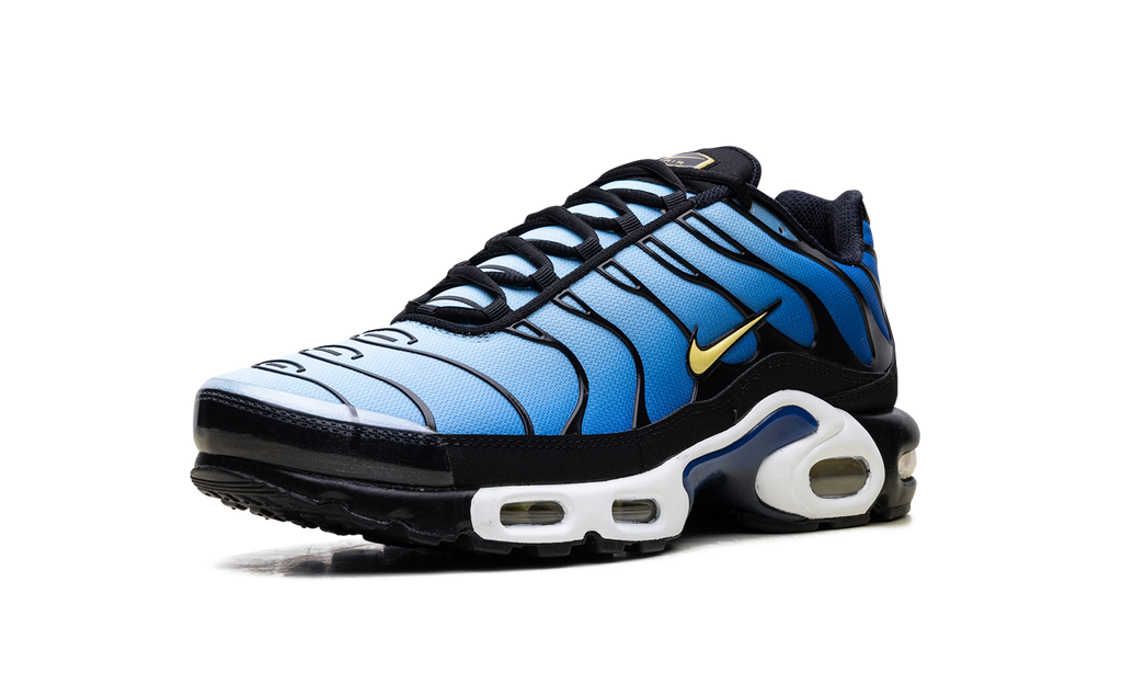 Nike Air Max Plus OG Hyper Blue 5