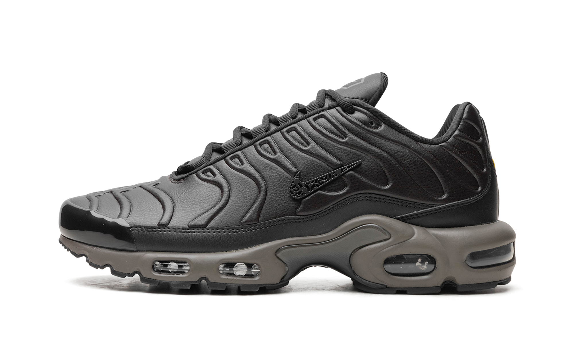 Nike Air Max Plus Premium Paris 1