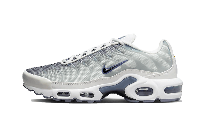 Nike Air Max Plus Sail Gray 4