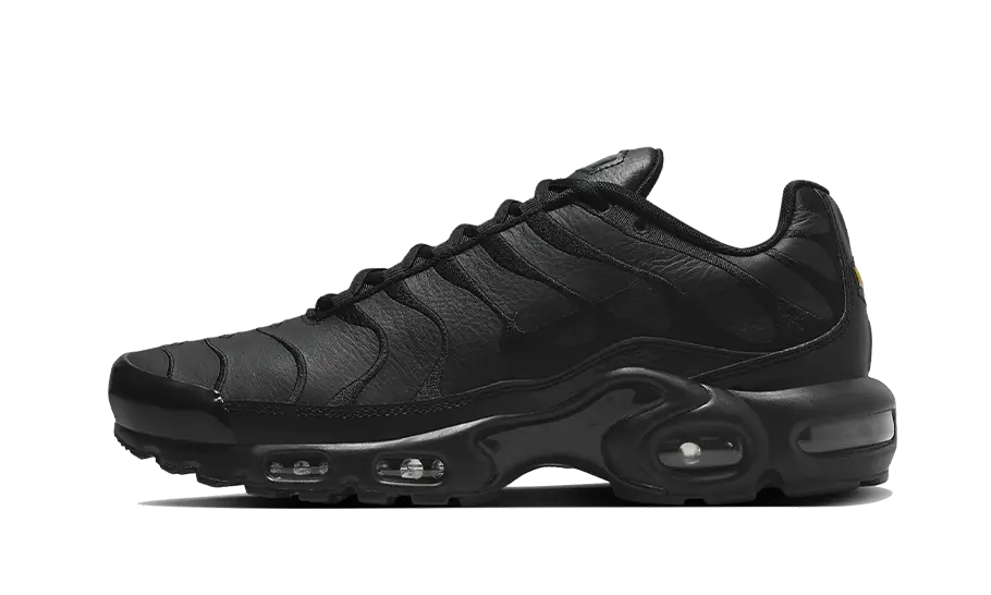 Nike Air Max Plus Triple Black Leather