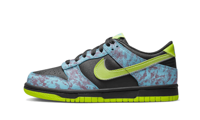 Nike Dunk Low Acid Wash 1