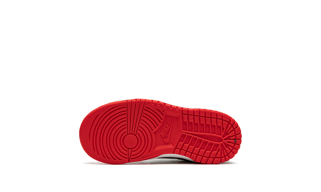 Nike Dunk Low EMB NBA 75th Anniversary Chicago (TD) 6