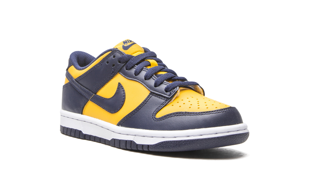 Nike Dunk Low Michigan (GS) 10