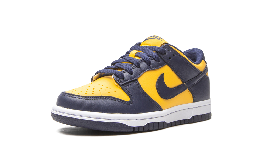 Nike Dunk Low Michigan (GS) 5