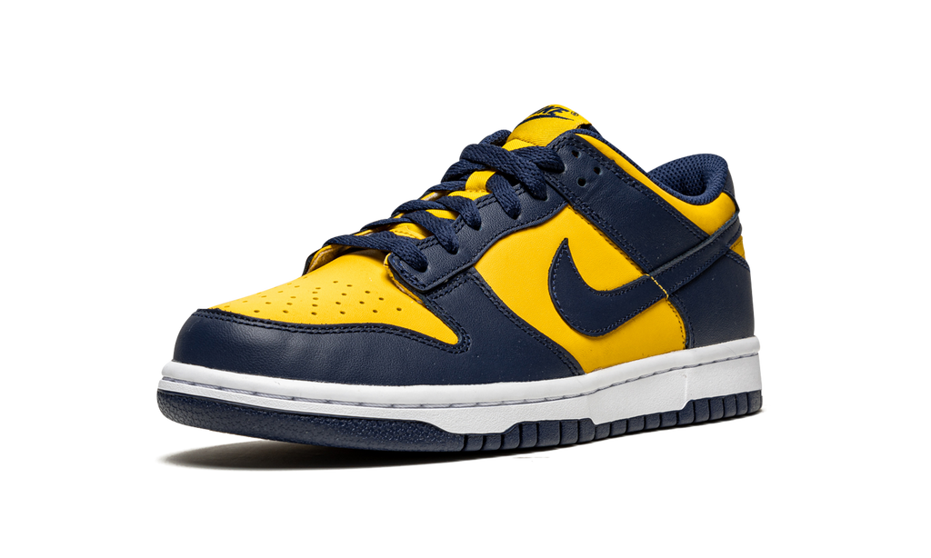 Nike Dunk Low Michigan (GS) 6