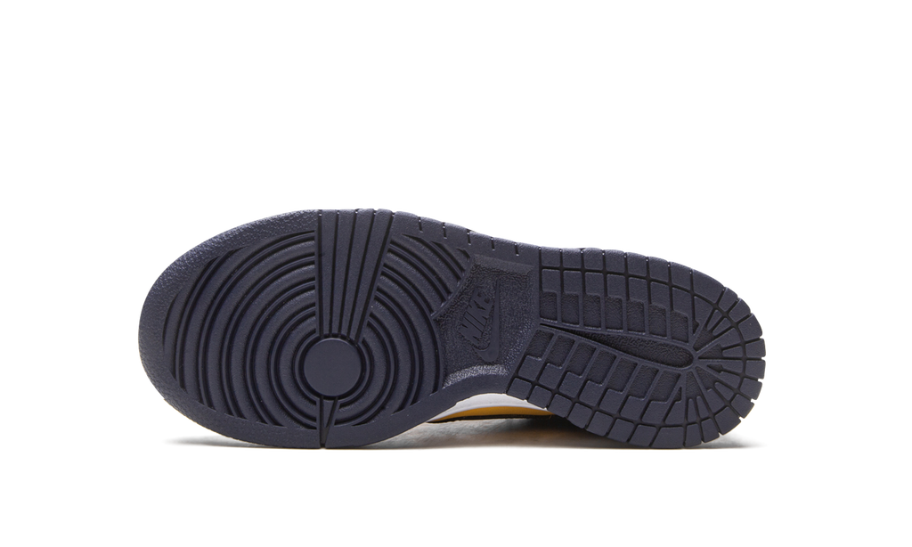 Nike Dunk Low Michigan (GS) 7
