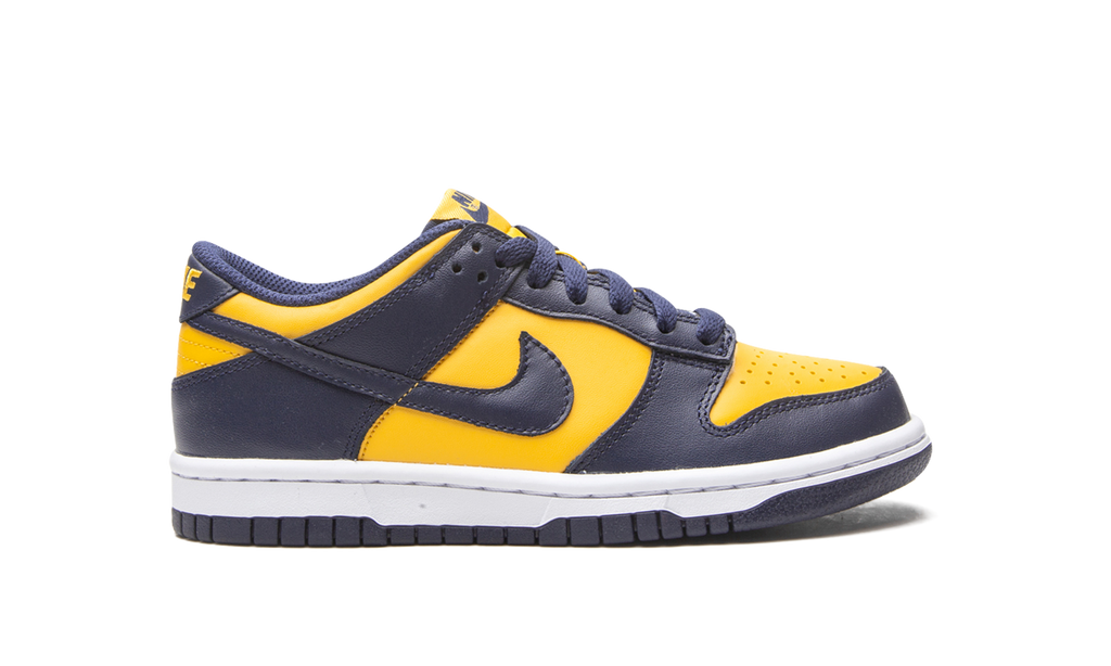 Nike Dunk Low Michigan (GS) 8