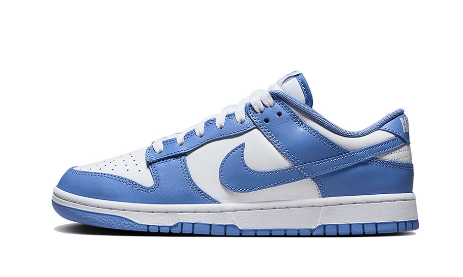 Nike Dunk Low Polar Blue