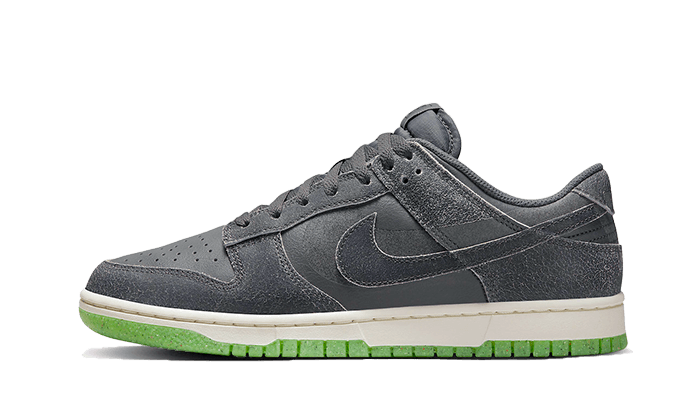 Nike Dunk Low Swoosh Shadow Iron Gray 1