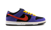 Nike SB Dunk Low ACG Terra