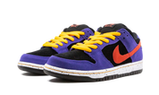 Nike SB Dunk Low ACG Terra 9