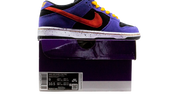 Nike SB Dunk Low ACG Terra