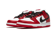 Nike SB Dunk Low Pro Chicago 2