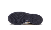 Nike Dunk Low Michigan (GS)