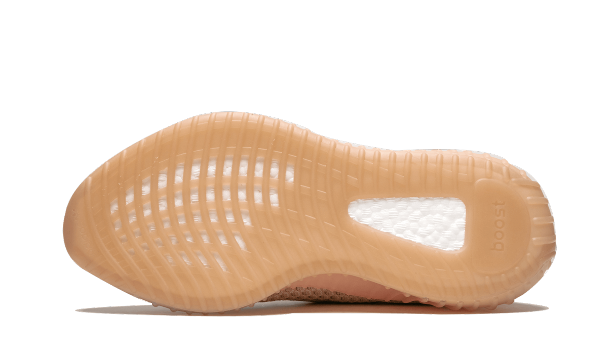 Yeezy Boost 350 V2 Clay 2