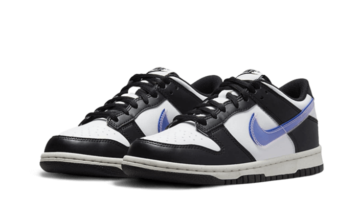 Nike Dunk Low Next Nature TPU Swoosh