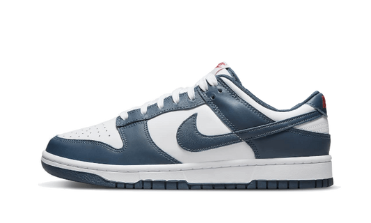 Nike Dunk Low Valerian Blue