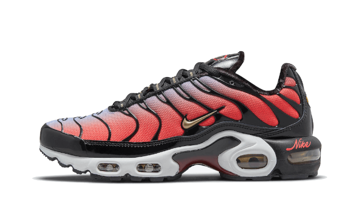 Nike Air Max Plus Sisterhood